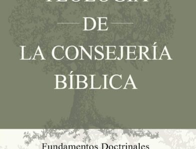 Teología de la consejería bíblica (Heath Lambert)