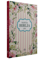 Portada de Biblia económica Rosada - ISBN 9781598779707