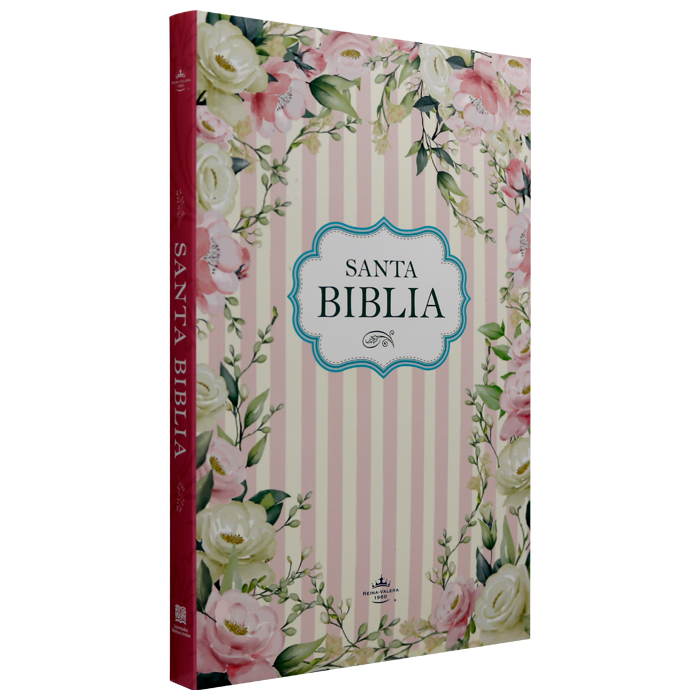 Portada de Biblia económica Rosada - ISBN 9781598779707
