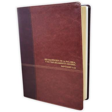 Portada de Biblia Estudio Diario Vivir TS RV60 CAFE - ISBN 9781496411273