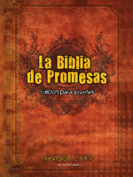 Portada de Biblia Promesas para Jovenes RV60 (cafe) - ISBN 9780789921567