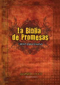 Portada de Biblia Promesas para Jovenes RV60 (cafe) - ISBN 9780789921567