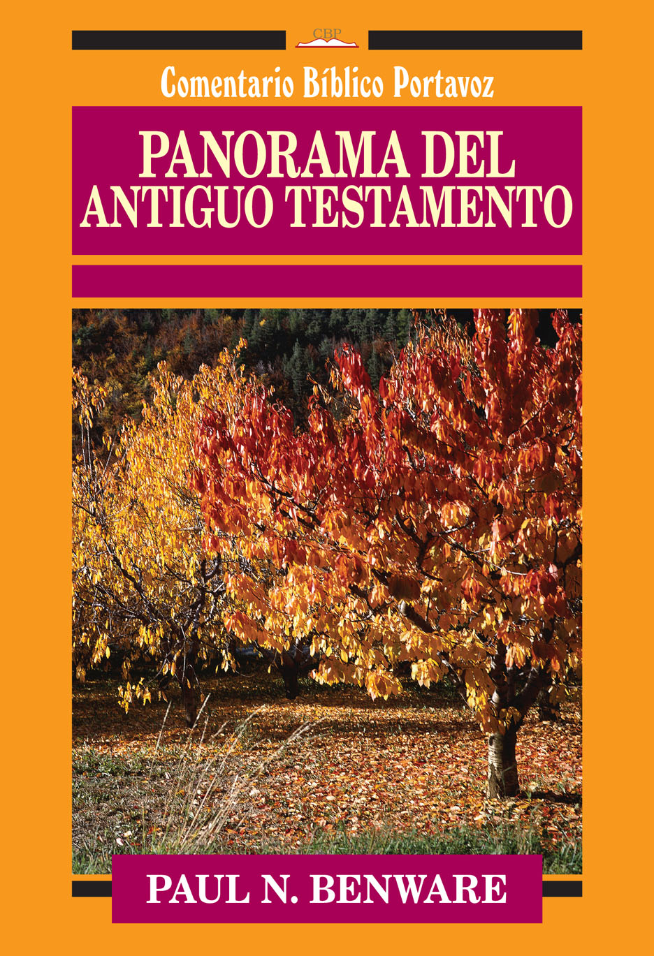 Panorama del antiguo testamento