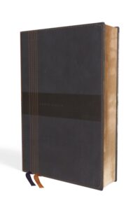 Biblia NBLA Ultrafina Grande Azul