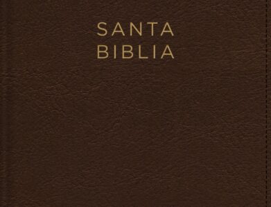 Nueva Biblia de las Américas (NBLA): qué es, virtudes y críticas