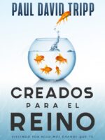 Creados para el reino - 9781646911578
