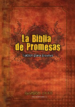 Portada de Biblia Promesas para Jovenes RV60 (cafe) - ISBN 9780789921567