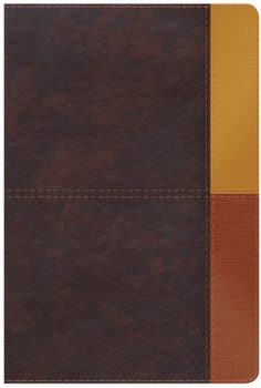 Portada de Biblia Estudio Arcoiris Terracota RV60 - ISBN 9781087706047