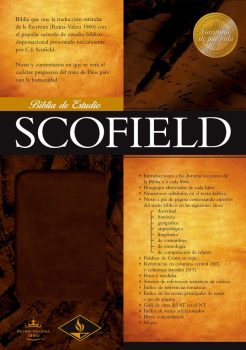 Biblia Estudio Scofield TS Cafe - 9781433601835