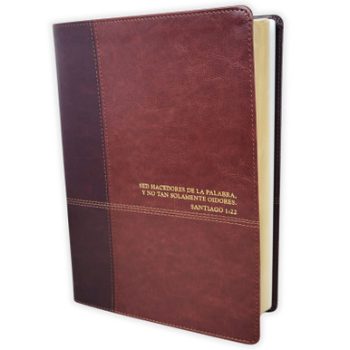 Portada de Biblia Estudio Diario Vivir TS RV60 CAFE - ISBN 9781496411273