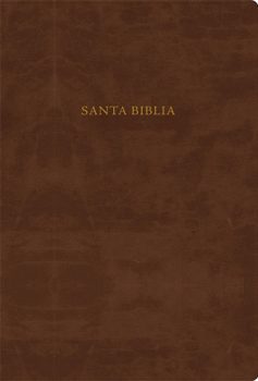 Portada de Biblia Estudio Scofield TS Cafe - ISBN 9781433601835